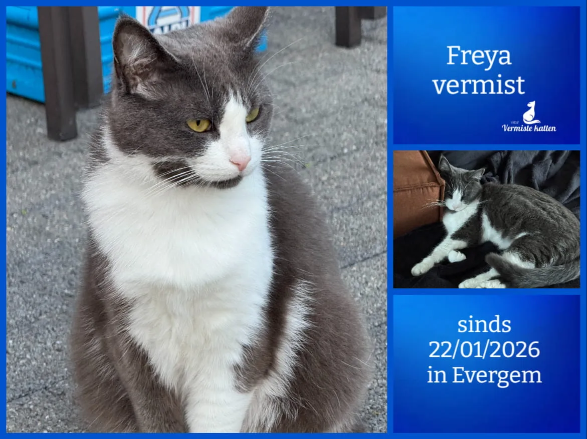 Freya