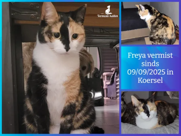 Freya