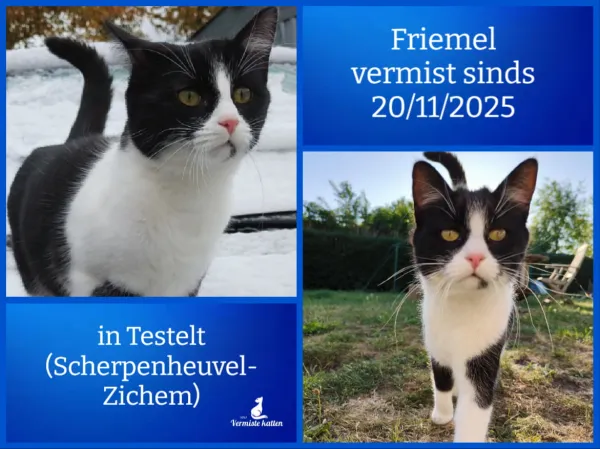 Friemel