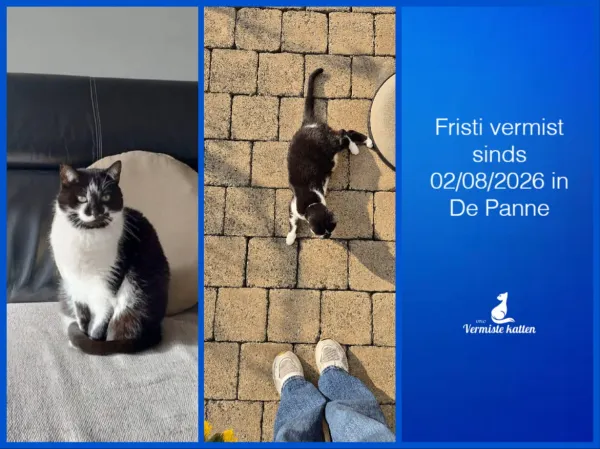 Fristi