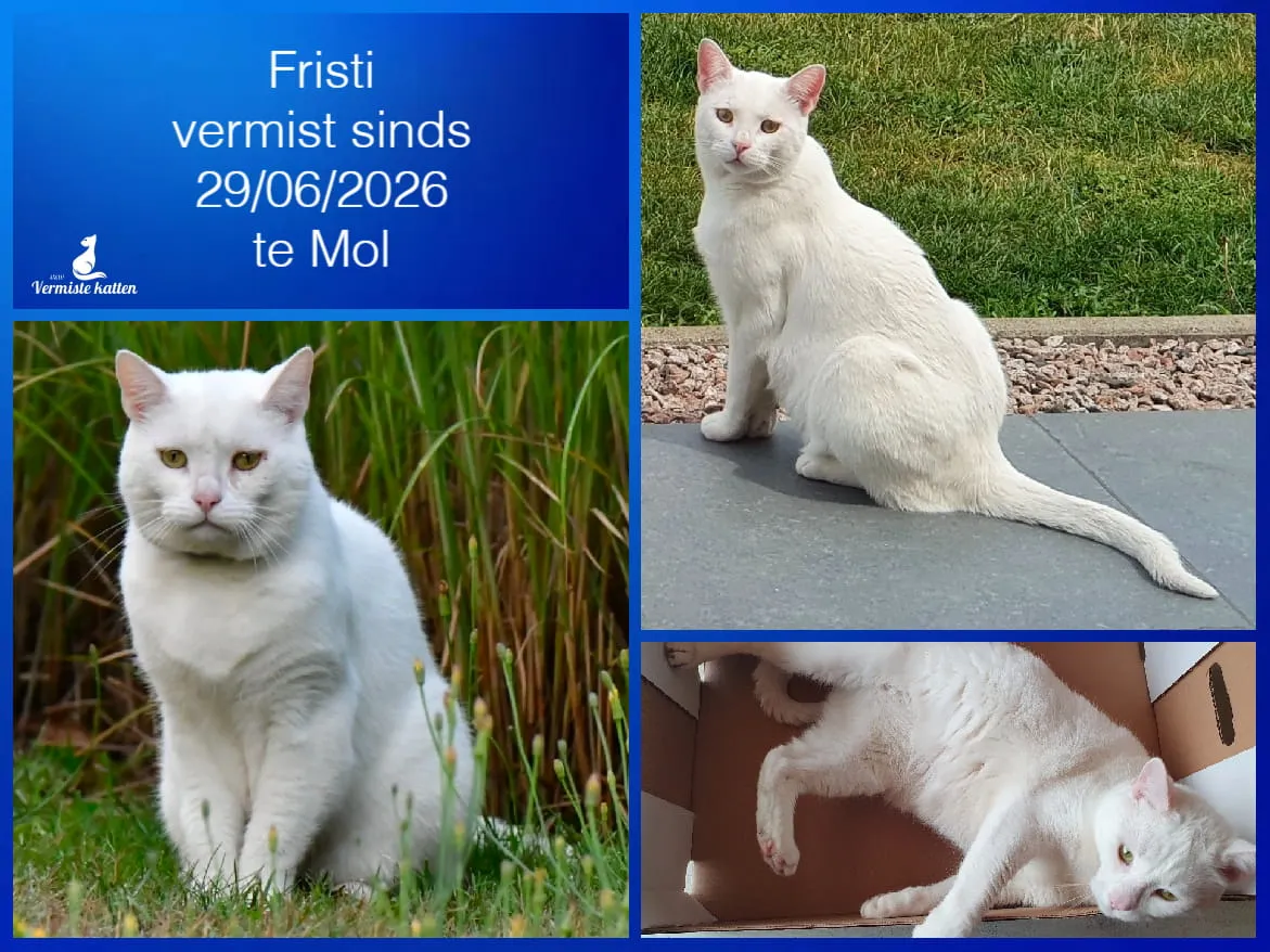 Fristi