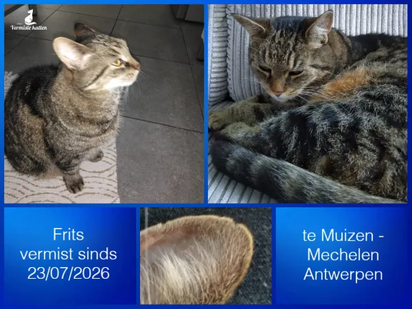 Frits