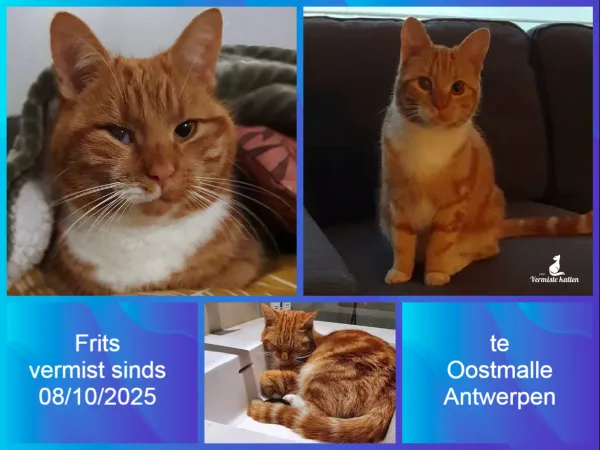 Frits