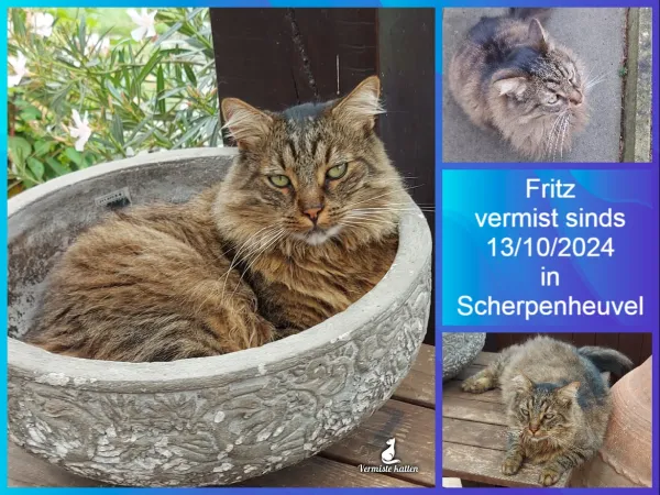 Fritz