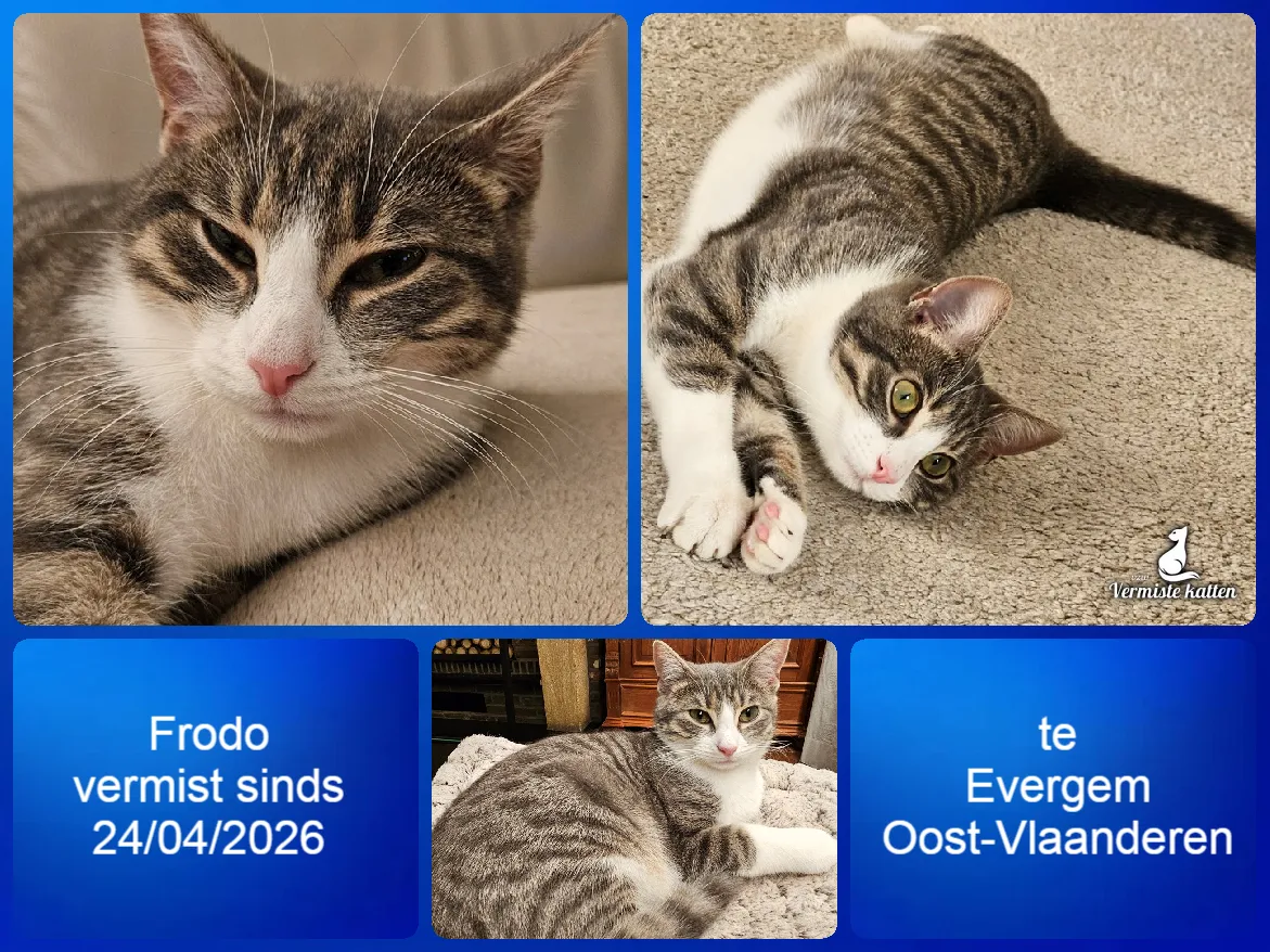 Frodo
