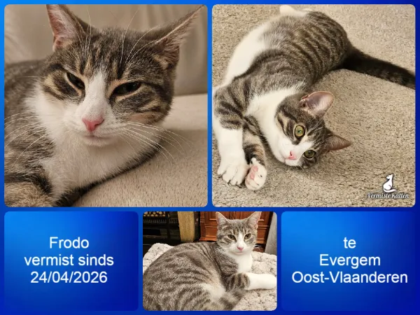 Frodo
