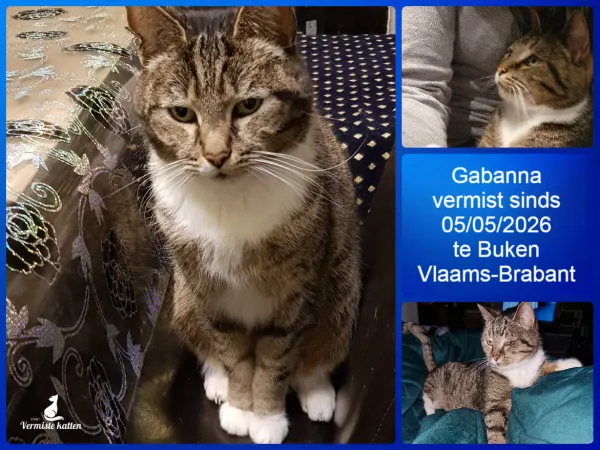 Gabanna