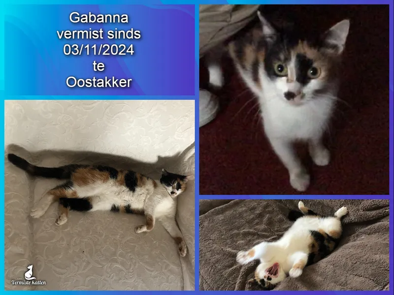Gabanna