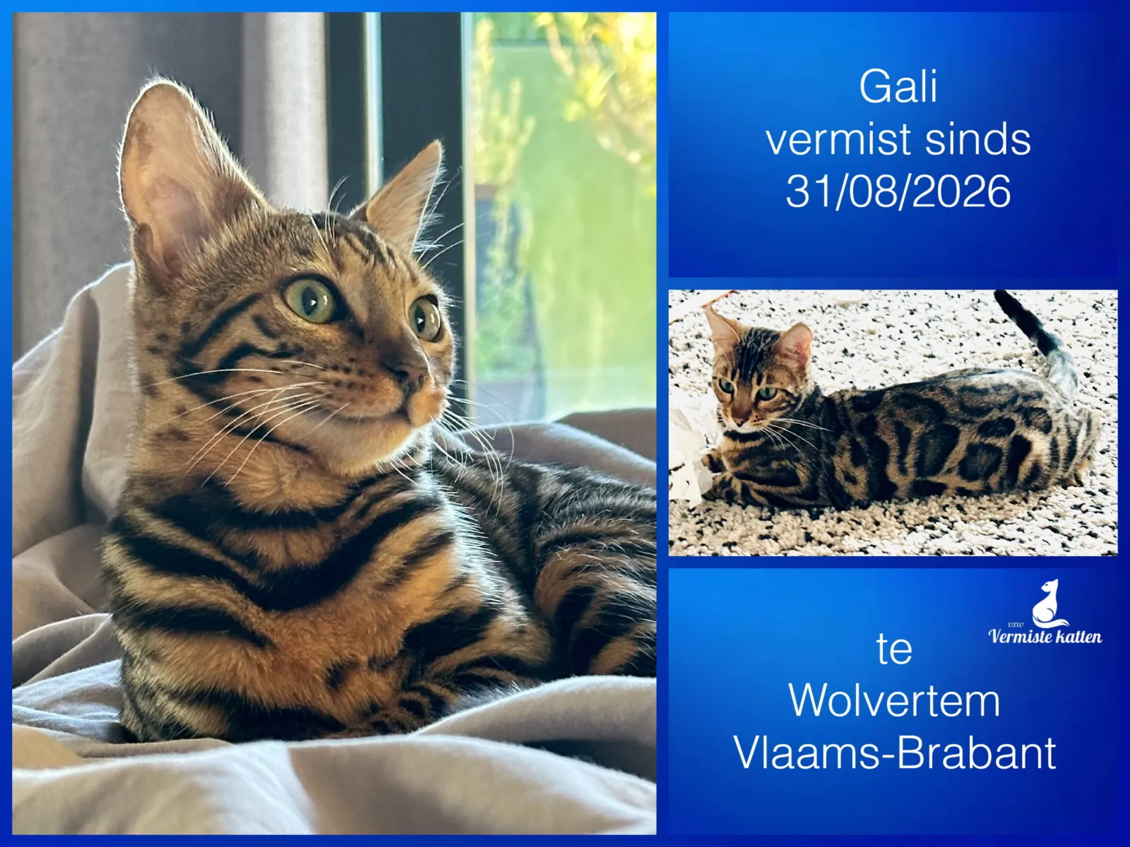 Gali
