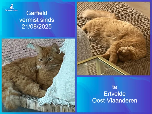 Garfield