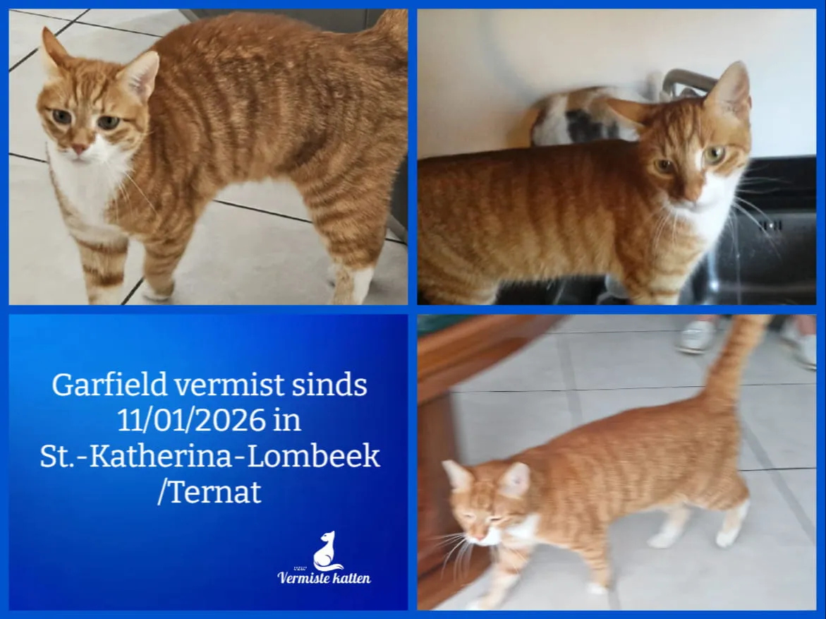 Garfield