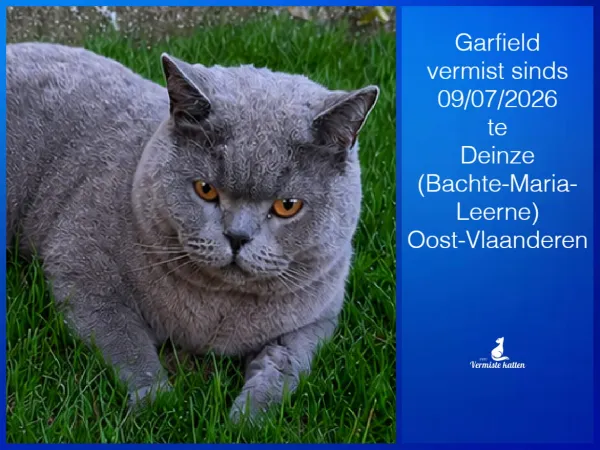 Garfield