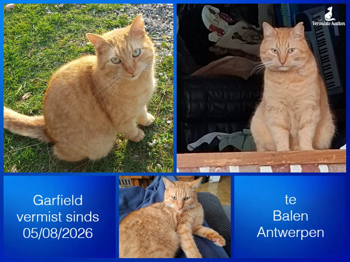 Garfield