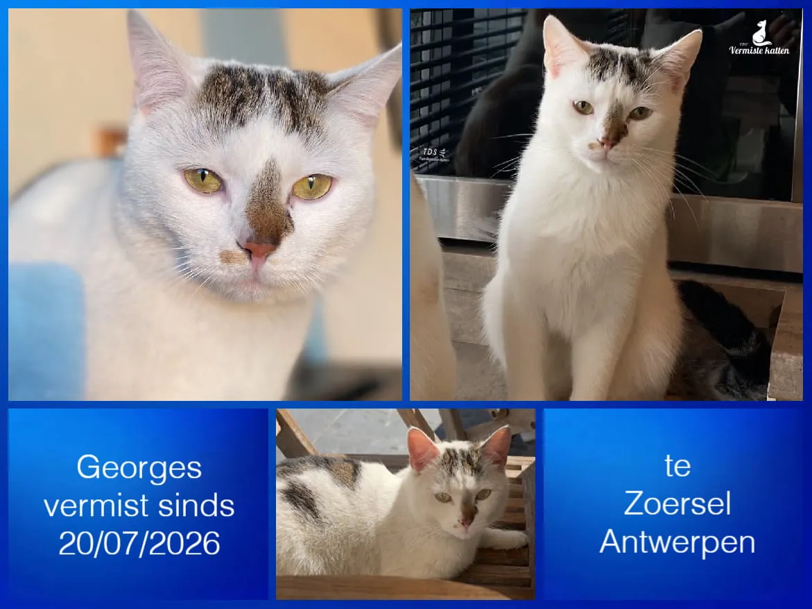 Georges