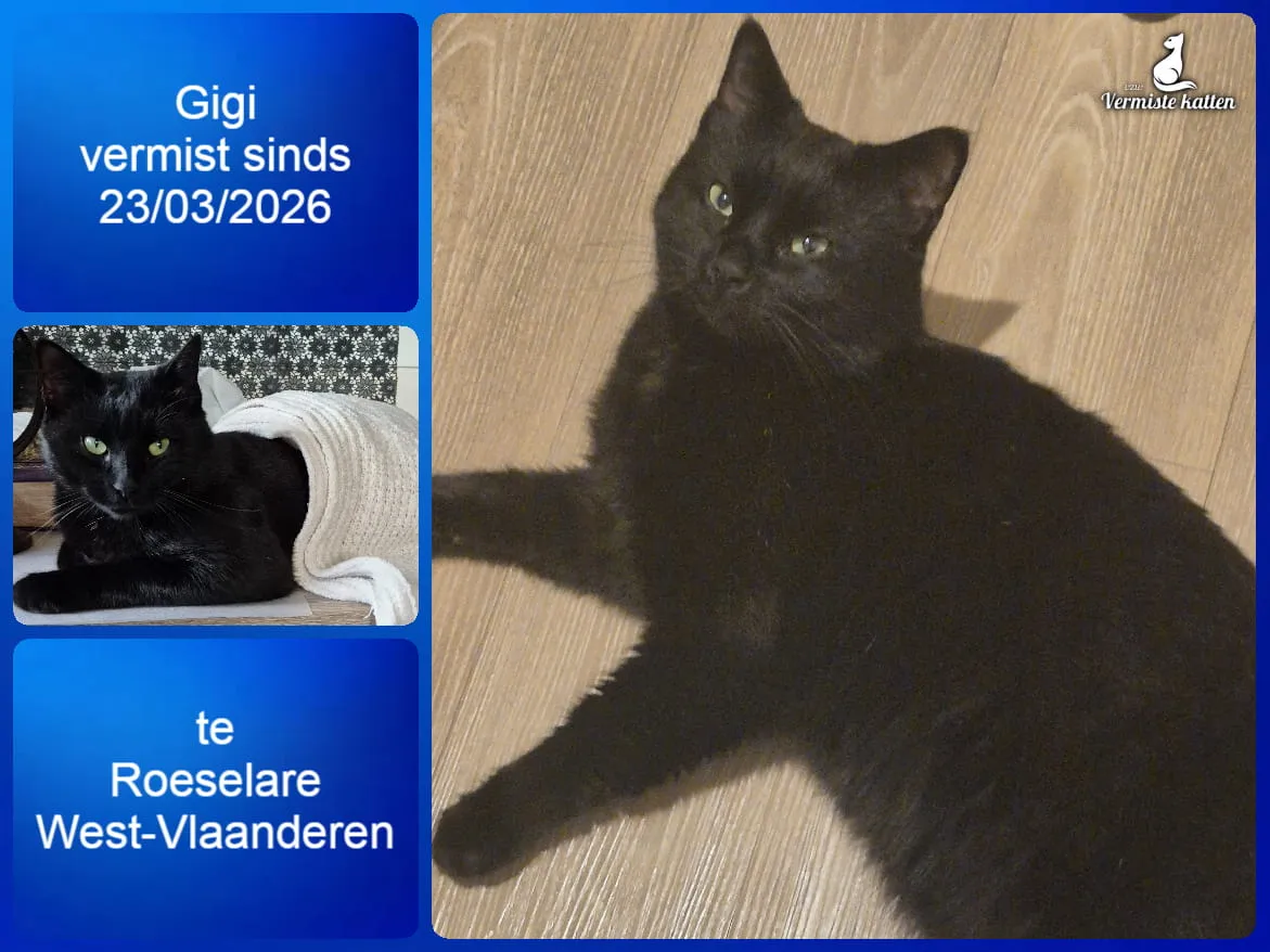 Gigi