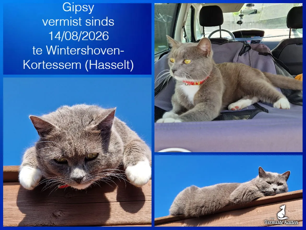 GIPSY