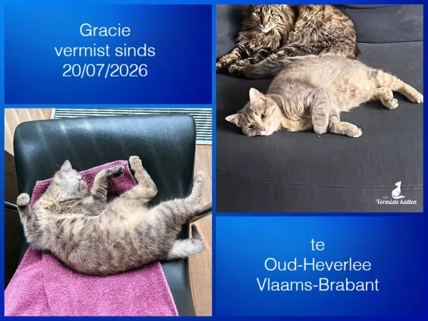 Gracie
