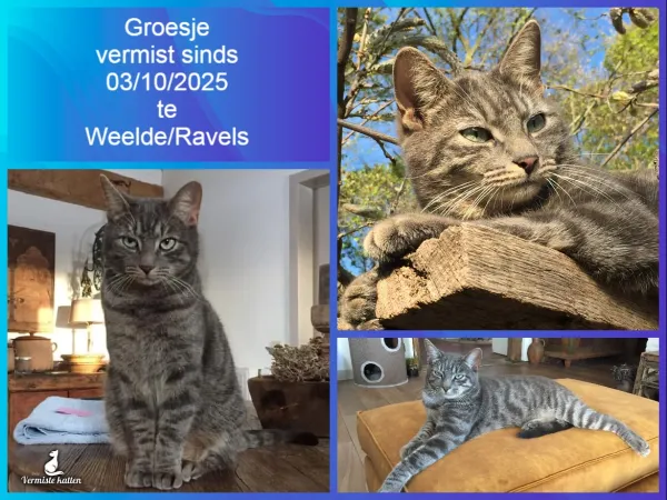 Groesje