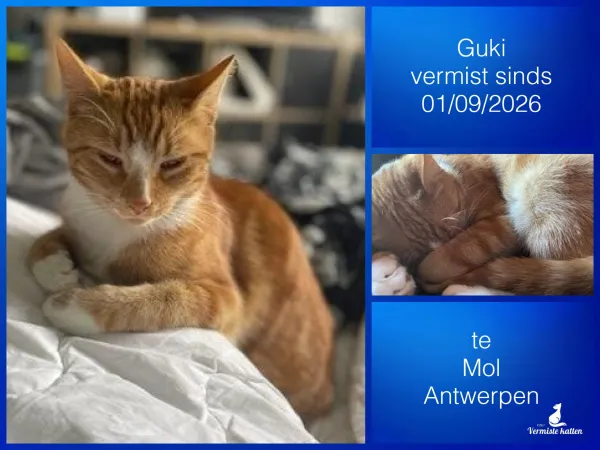 Guki