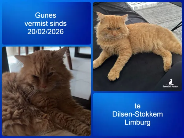 Gunes