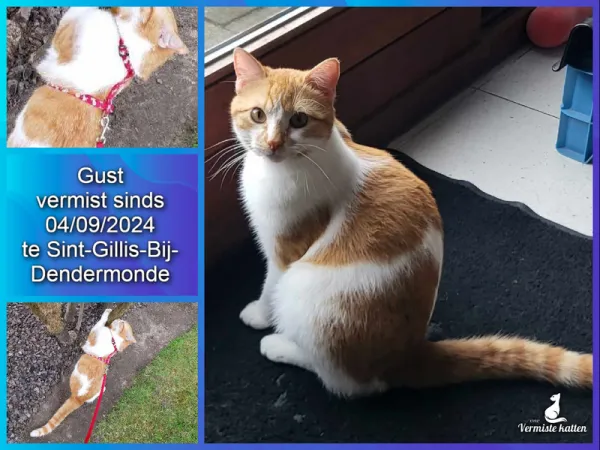 Gust