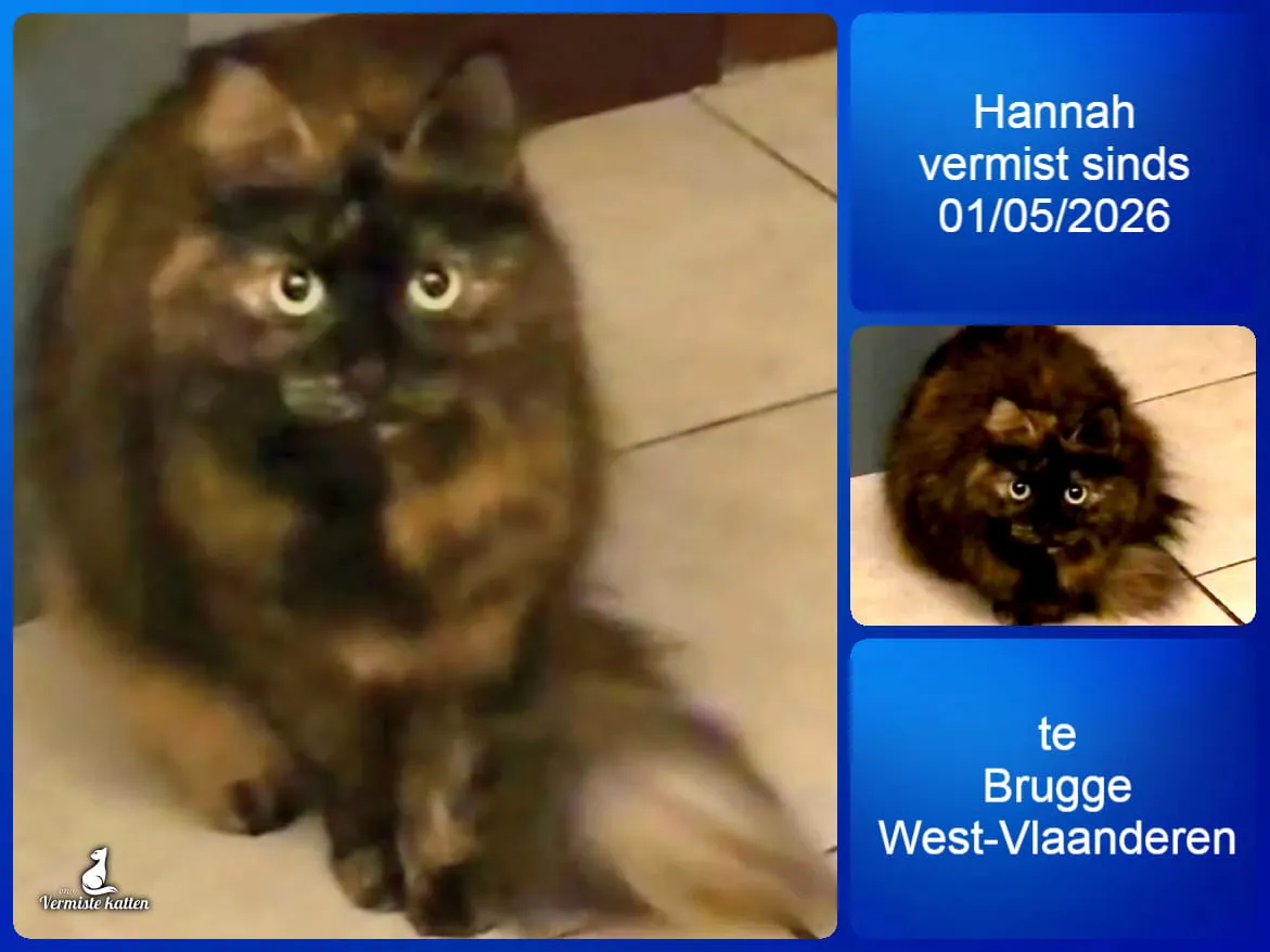 Hannah