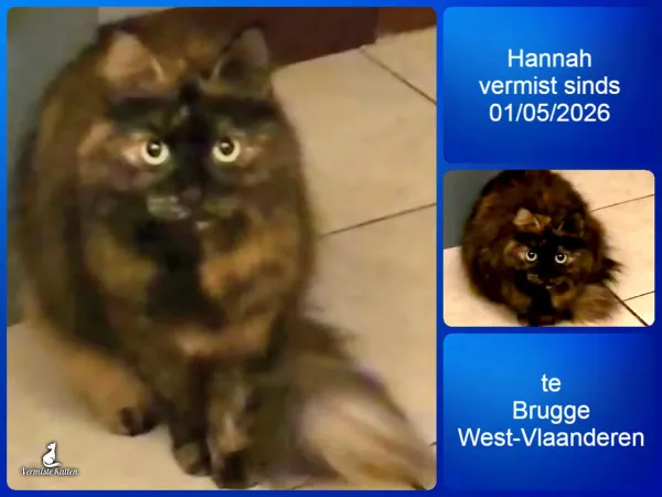 Hannah
