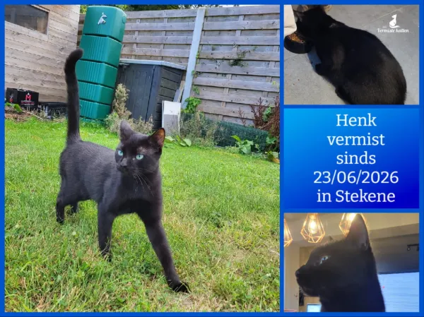 Henk