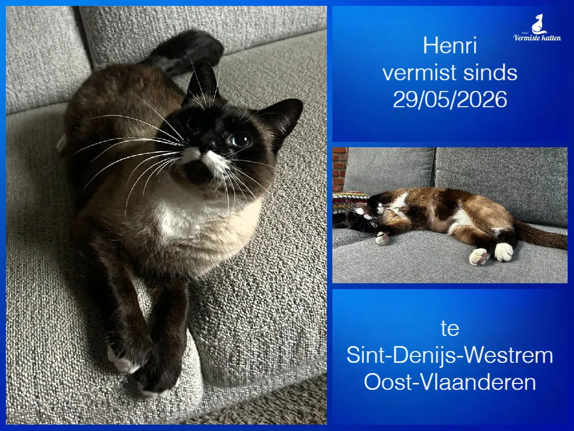 Henri