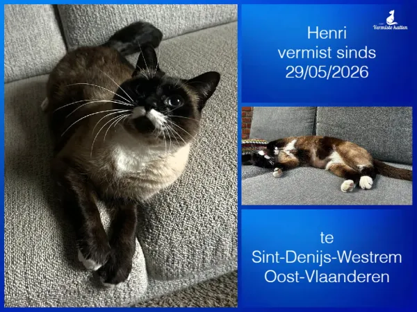 Henri