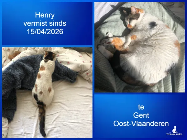 Henry