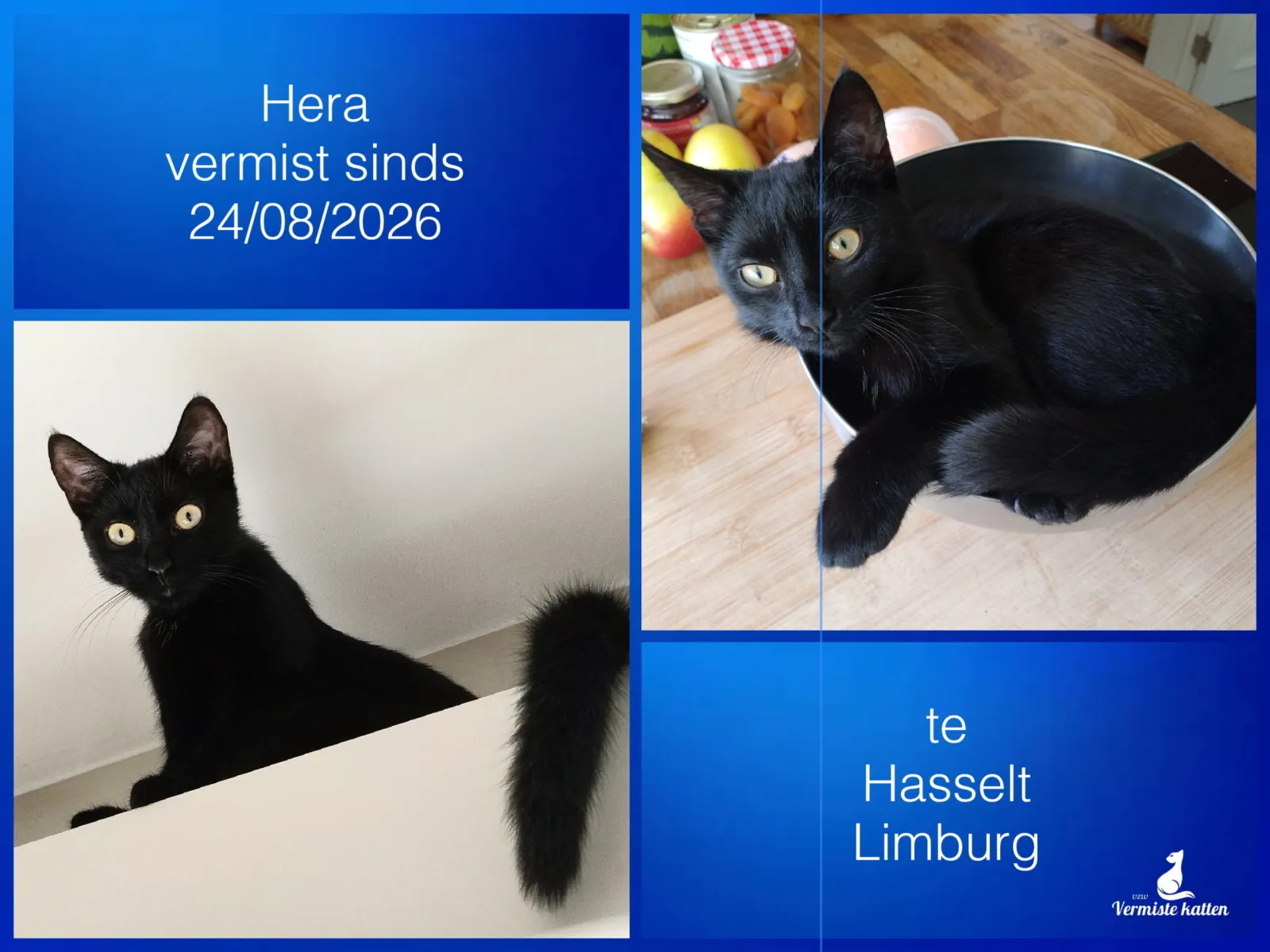 Hera