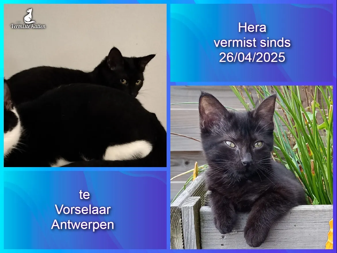 Hera