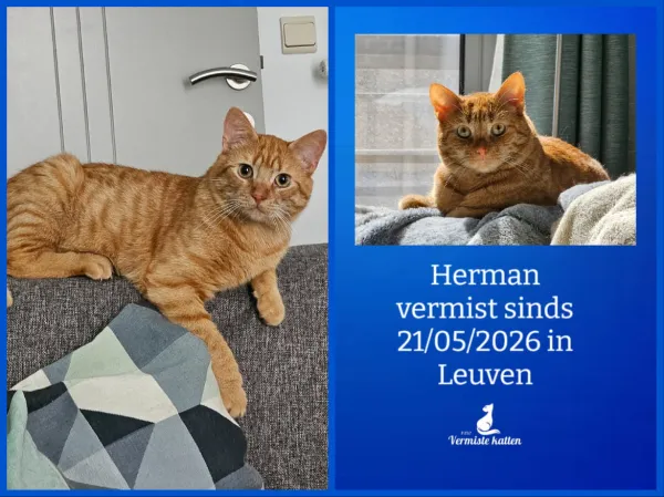 Herman