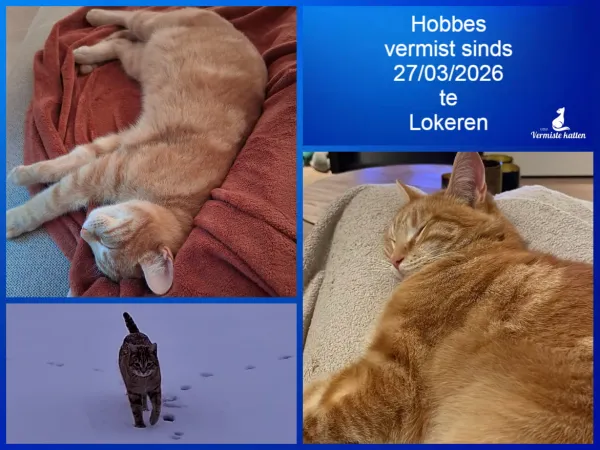 Hobbes