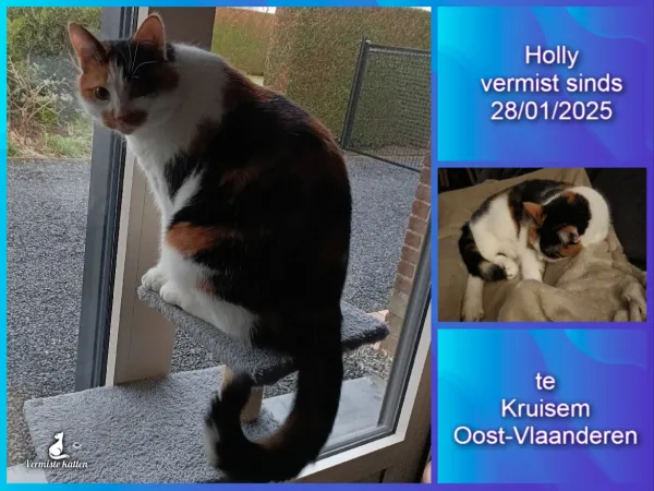 Holly