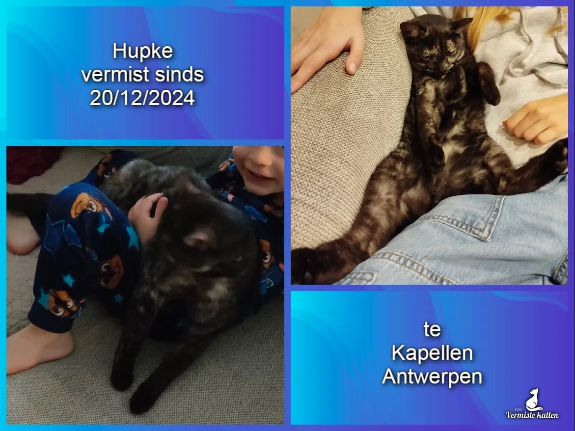 Hupke