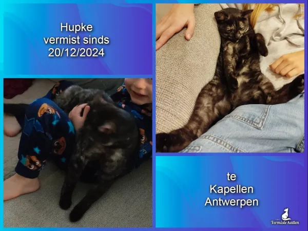 Hupke