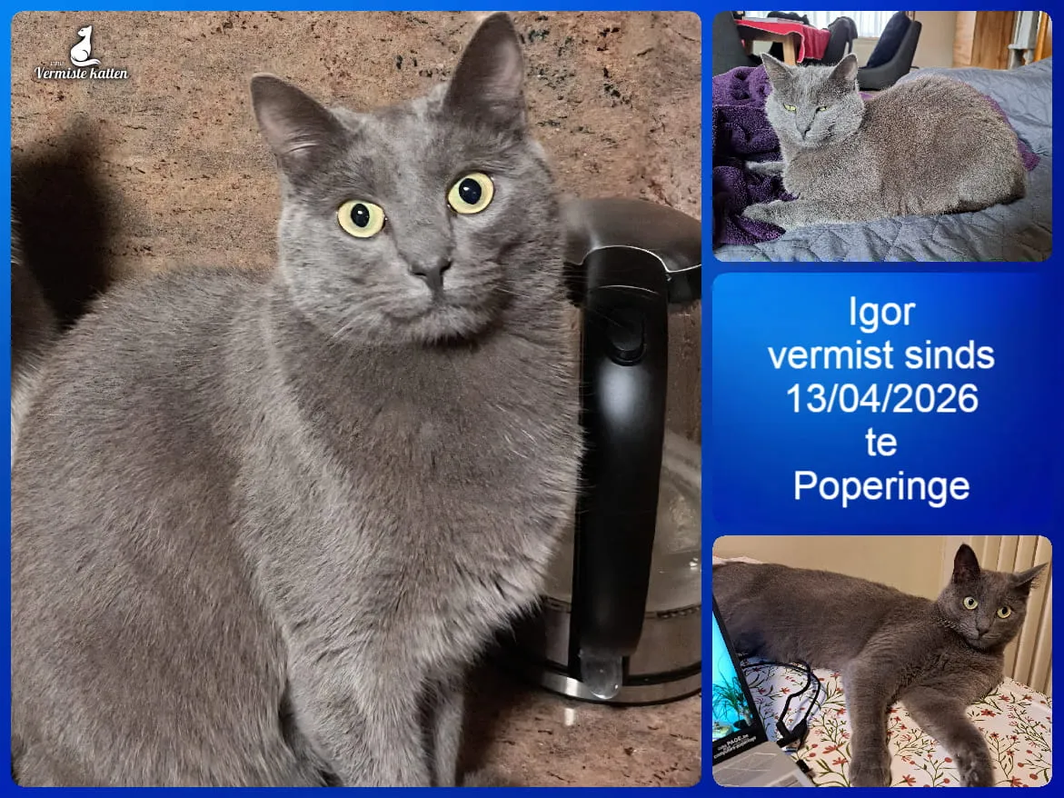 Igor