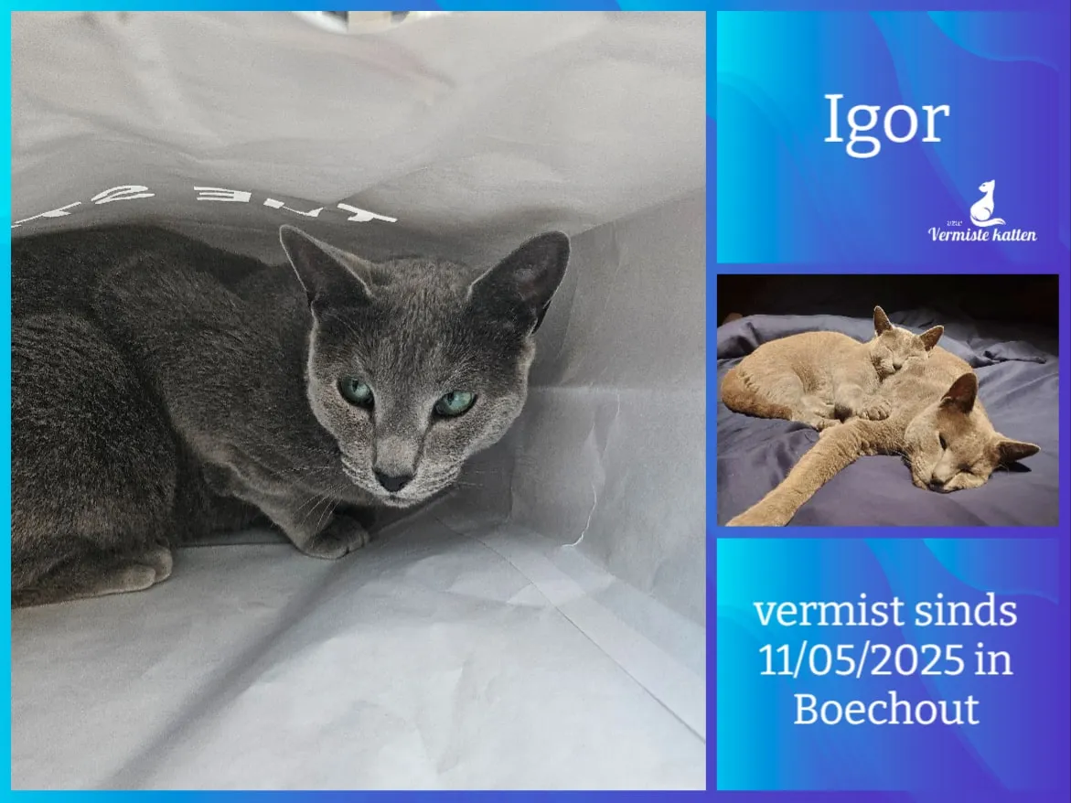 Igor