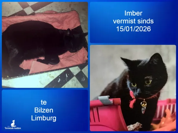 Imber