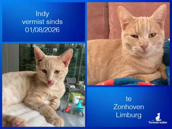 Indy