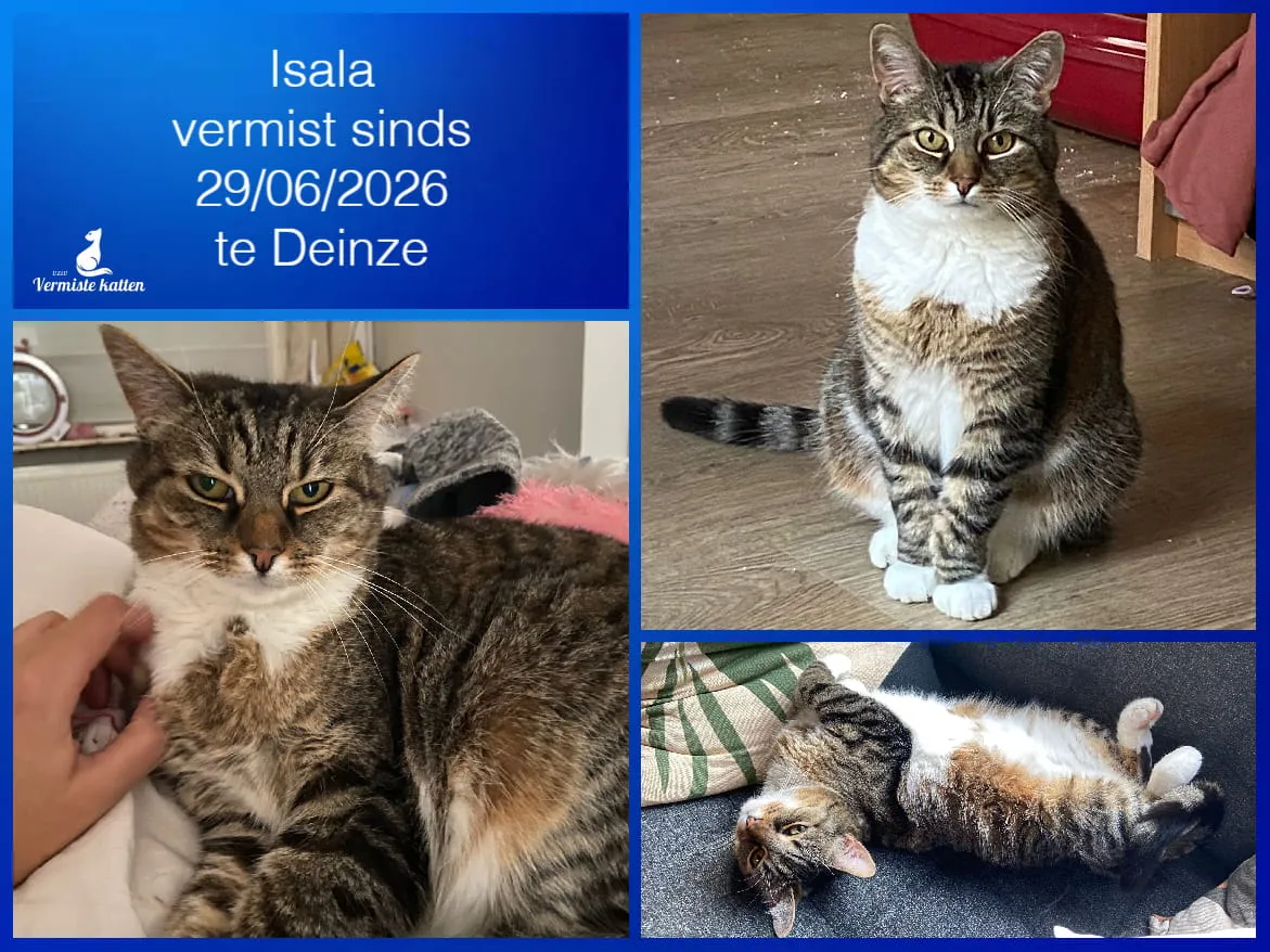 Isala