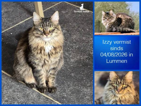 Izzy