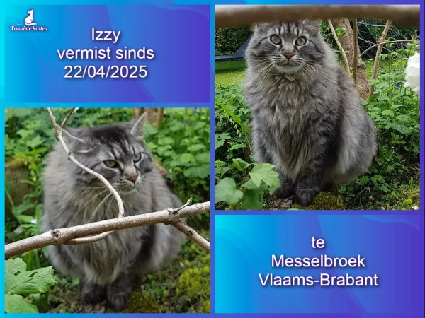 Izzy
