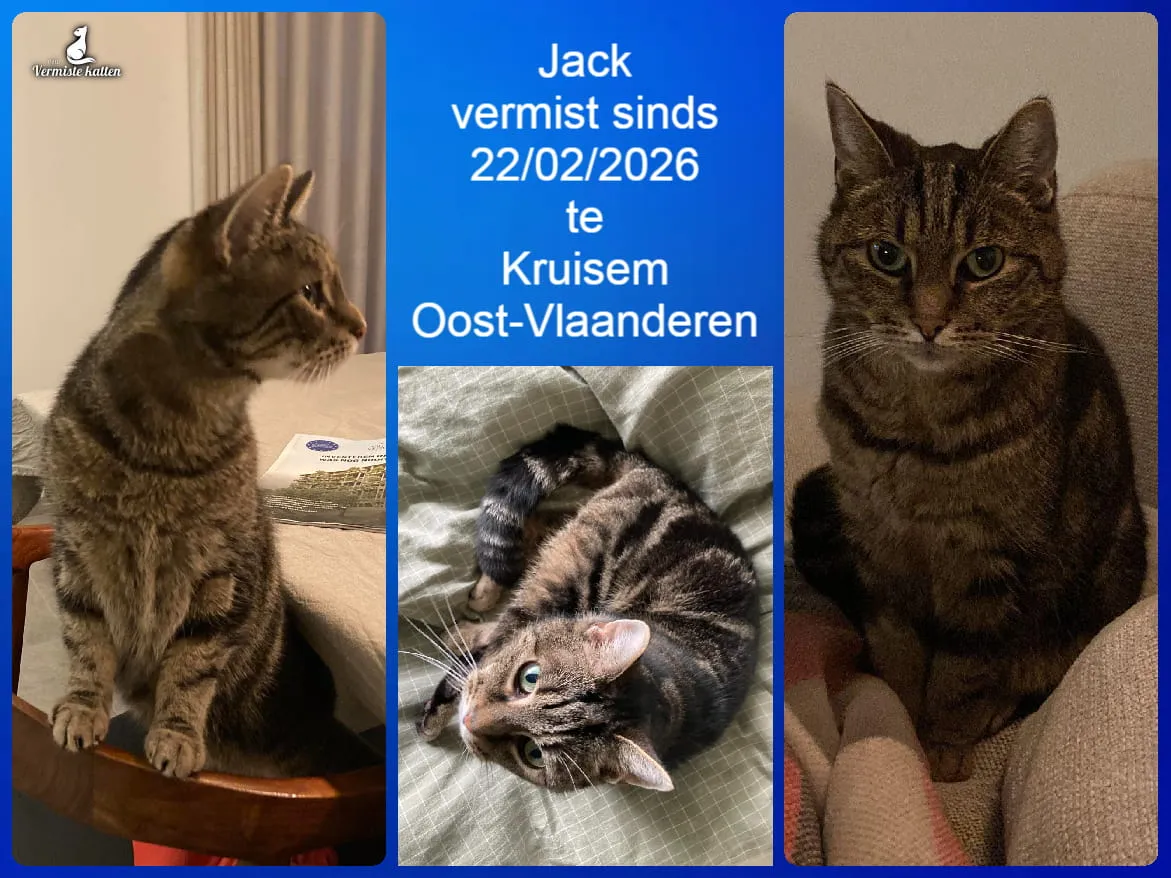 Jack