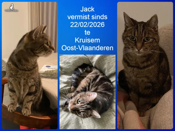 Jack