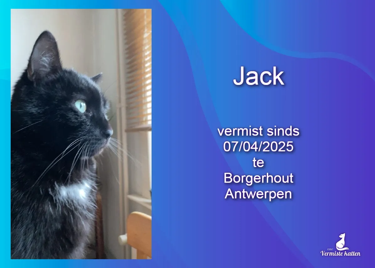 JACK