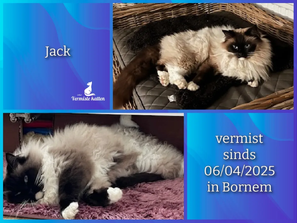 Jack