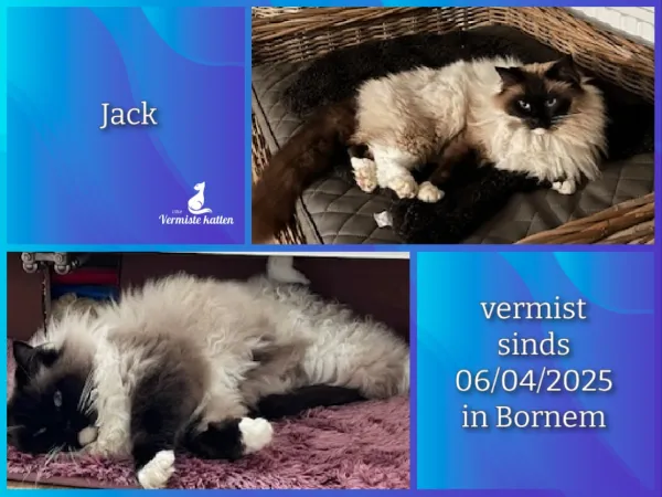 Jack